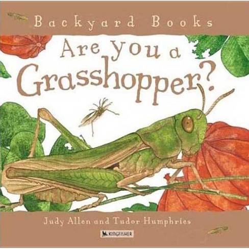 Are You A Grasshopper Backyard Books By Judy Allen Paperback Target