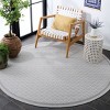 Terrace TER800 Power Loomed UV Resistant Stain Resistant Non-Shedding Indoor/Outdoor Rugs - Safavieh - 3 of 4