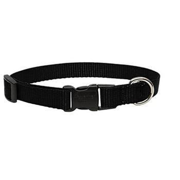 Lupine Pet Basic Solids Black Black Nylon Dog Adjustable Collar