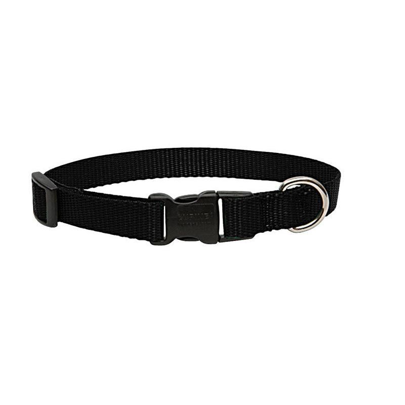 Lupine Pet Basic Solids Black Black Nylon Dog Adjustable Collar, 1 of 3