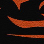 oregon state beavers