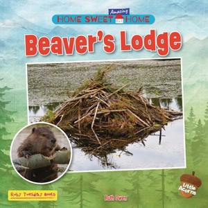 Beaver's Lodge - (Home Sweet Amazing Home (Little Acorns)) by  Ruth Owen (Paperback) - 1 of 1