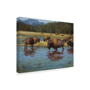 Trademark Fine Art -Jack Sorenson 'Buffalo Crossing' Canvas Art - 1 of 4