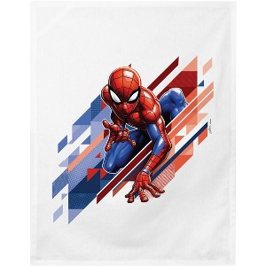Spider-man Classic Character Pose Dish Towels - 1 of 1