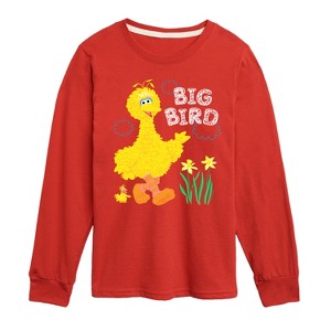 Boys' - Sesame Street - Big Bird Daffodils Long Sleeve Graphic T-Shirt - 1 of 3