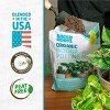 Back to the Roots 6qt Organic Indoor Potting Mix For Houseplants Specialty Mix: Perlite, Coconut Coir, Mycorrhizae - 4 of 4