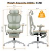 Dsvimoy Task and Office Chair Multi-functional Ergonomic Mesh Chair with Lumbar Support for Office, Green, 24.41"*13.78"*22.83" - 3 of 4