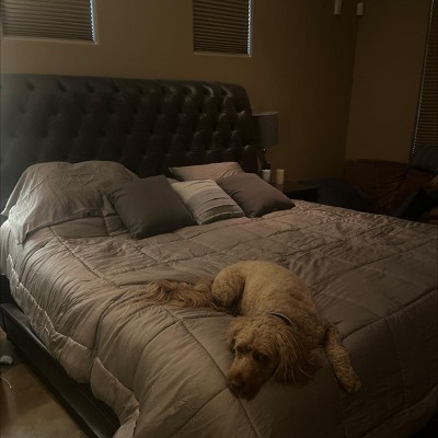 Guest review image 1 of 1, zoom in