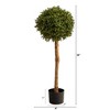 Nearly Natural 3-ft Boxwood Ball Topiary Artificial Tree (Indoor/Outdoor) - 3 of 4