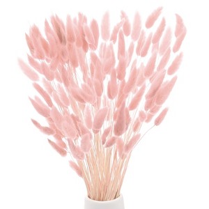 Unique Bargains Artificial Dried Flowers Realistic Look Pampas Bunny Tails Grass 17 Inch - 1 of 4