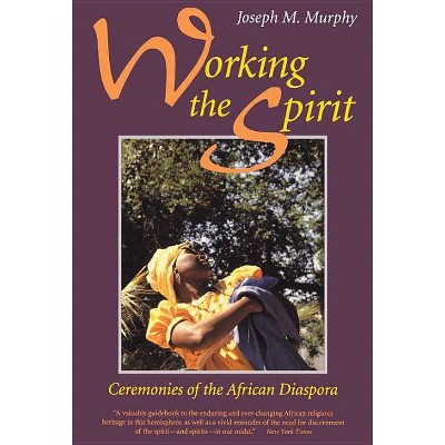 Working the Spirit - by  Joseph M Murphy (Paperback)