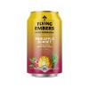 Flying Embers Birds of Paradise Variety - 8pk/12 fl oz Cans - 2 of 4