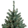 Northlight 7.5' Pre-Lit Colorado Blue Spruce Artificial Christmas Tree, Clear Lights - image 3 of 4