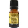 Plantlife Cumin Aromatherapy Essential Oil – 100% Pure, Therapeutic Grade, No Additives or Fillers, 10 ml - 2 of 2