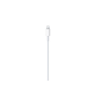Apple USB-C to Lightning Cable (1m)