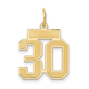 Black Bow Jewelry 14k Yellow Gold, Jersey Collection, Small Number 30 Pendant - 1 of 4