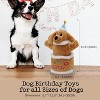 Fuzzwoof Birthday Cake Dog Toy , Dancing with Echo Function Feature, Singing Birthday Songs, Interactive Puppy Toy, Birthday Gift for Dogs - 2 of 4