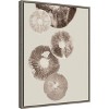 Amanti Art Mushroom 6 Light Brown by Pernille Folcarelli Canvas Wall Art Print Framed 18 x 24-in. - 3 of 4