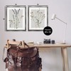 Stupell Industries Delicate Wildflower Herb Sprigs 2pc Floating Frame Art Set - 3 of 4