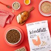 Chicken and Brown Rice Recipe Adult Indoor Dry Cat Food - Kindfull™ - 2 of 4