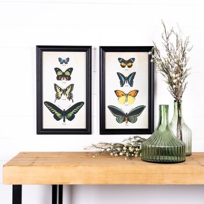 Set of 2 Encyclopedia Butterfly Prints with Black Metal Frames