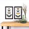 Melrose Framed Encyclopedia Butterfly Print (Set of 2) - image 4 of 4