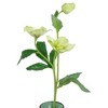 Allstate Floral 22" Helleborus Molly's Artificial Silk Floral Spray - 3 of 4