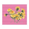 Trademark Fine Art Ania Zwara Yellow Dandelions on Pink Wood Slat Art - 3 of 4