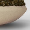 Faux Moss Bowl - Threshold™ - 4 of 4