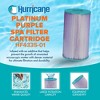 Hurricane Filters HF4335-01P Platinum Purple Spa Filter Cartridge Replacement for Pleatco, Unicel, Filbur, Dynamic Series, DFML, Waterway Models - 2 of 4