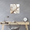 iCanvas Butterfly Flower II by Asia Jensen Canvas Print Wall Art - 3 of 3