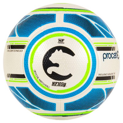 Puma procat 2024 soccer ball