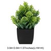 Unique Bargains Plant Fake Frosted Plastic Green 2.36"x2.36"x7.48" 1Pc - 3 of 4