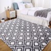 5x8 Area Rug Modern Geometric Checkered Shag Rug Soft Plush Floor Carpet Non Slip Non Shedding Rug, Higt Pile Flurry Rug for Living Room Bedroom - 4 of 4