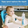 Dr. Brown's Milestones Options+ Narrow Baby Bottle Sippy Spouts - 2pk - 4 of 4