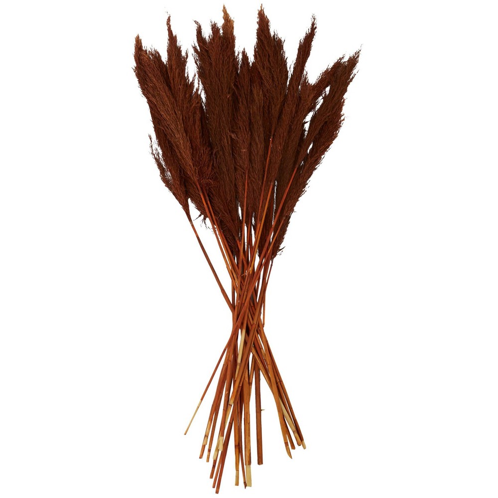 Photos - Coffee Table 35'' x 2'' Dried Plant Pampas Natural Foliage with Long Stems Copper - Oli