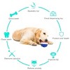 Pet Supplies Vocal Dog Toy Leaking Food Ball, Christmas gifts - 3 of 4