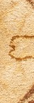 beige/light gold
