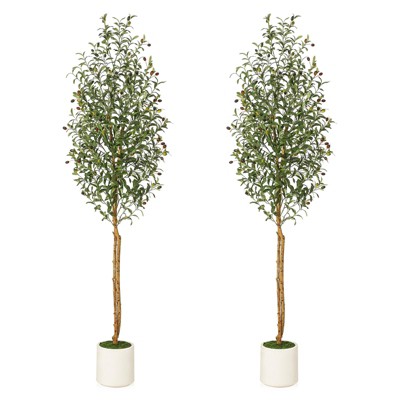 Artificial Olive Trees  - Realistic Faux Plants with Wood Trunks in White Planters for Living Room & Home Deco