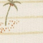 palm tree