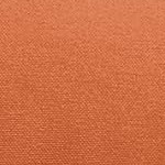 autumn orange