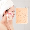 Unique Bargains Reusable Sponge Face Scrubber 4.33"x3.15" 1 Pc - 2 of 4