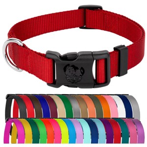 Country Brook Petz Everyday Nylon Dog Collar - 1 of 4