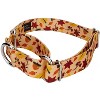 Country Brook Petz Martingale Dog Collar - Awesome Autumn Collection - 2 of 4