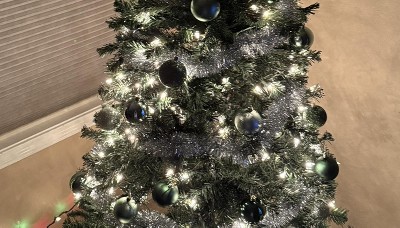 Guest review image 2 of 2, zoom in