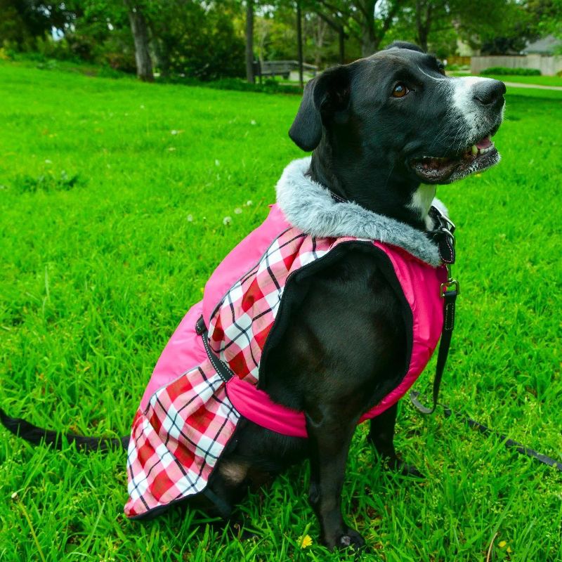Alpine All-Weather Dog Coat - Raspberry Plaid, 1 of 6