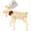 JOYFY 5FT 160 LED Reindeer Christmas Yard Lights Decoration, Christmas Outdoor Decorations Xmas Deer Yard Lights Decor for Yard Garden Lawn, Moose - image 4 of 4