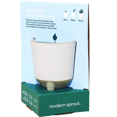 Modern Sprout Glow & Grow Spruce Tree and Candle Grow Kit - Spruce Tree Starter Grow Kit, Scented Soy Candle