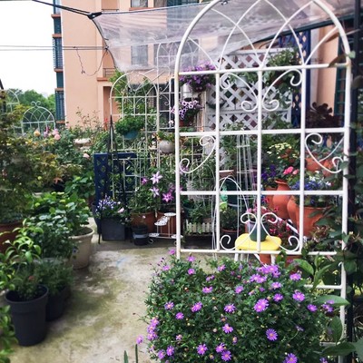 Lirago 71"H * 19.7"W * 1"D,2 Pack Metal Garden Trellis Rustproof Climbing Plant Support for Outdoor Flowers, Vines, Vegetables White Powder-Coated