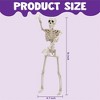 Joyfy 16” Halloween Full Body Poseable Skeleton, Human Plastic Bone with Movable Joints for Haunted House Graveyard Prop Party Decor (2pcs, Original) - 4 of 4